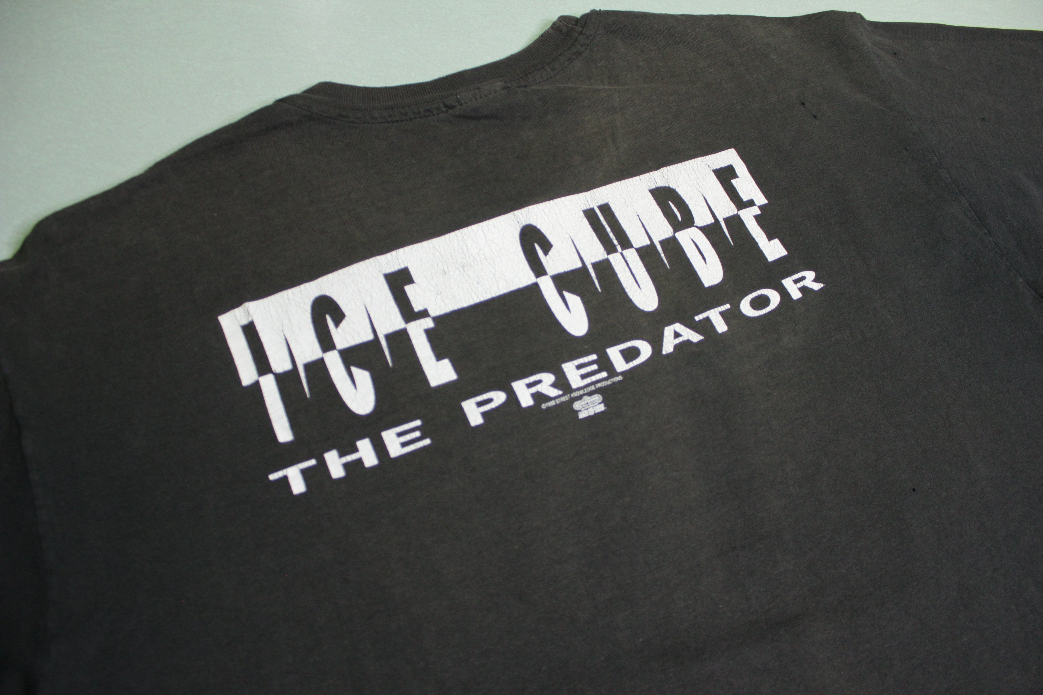 Ice Cube The Predator 1992 Winterland Rock Express  Vintage 90's Distressed Rap T-Shirt