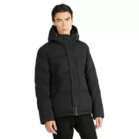 Pajar Mens Holt Puffer Jacket with Sherpa Bib and Detachable Hood - BLACK