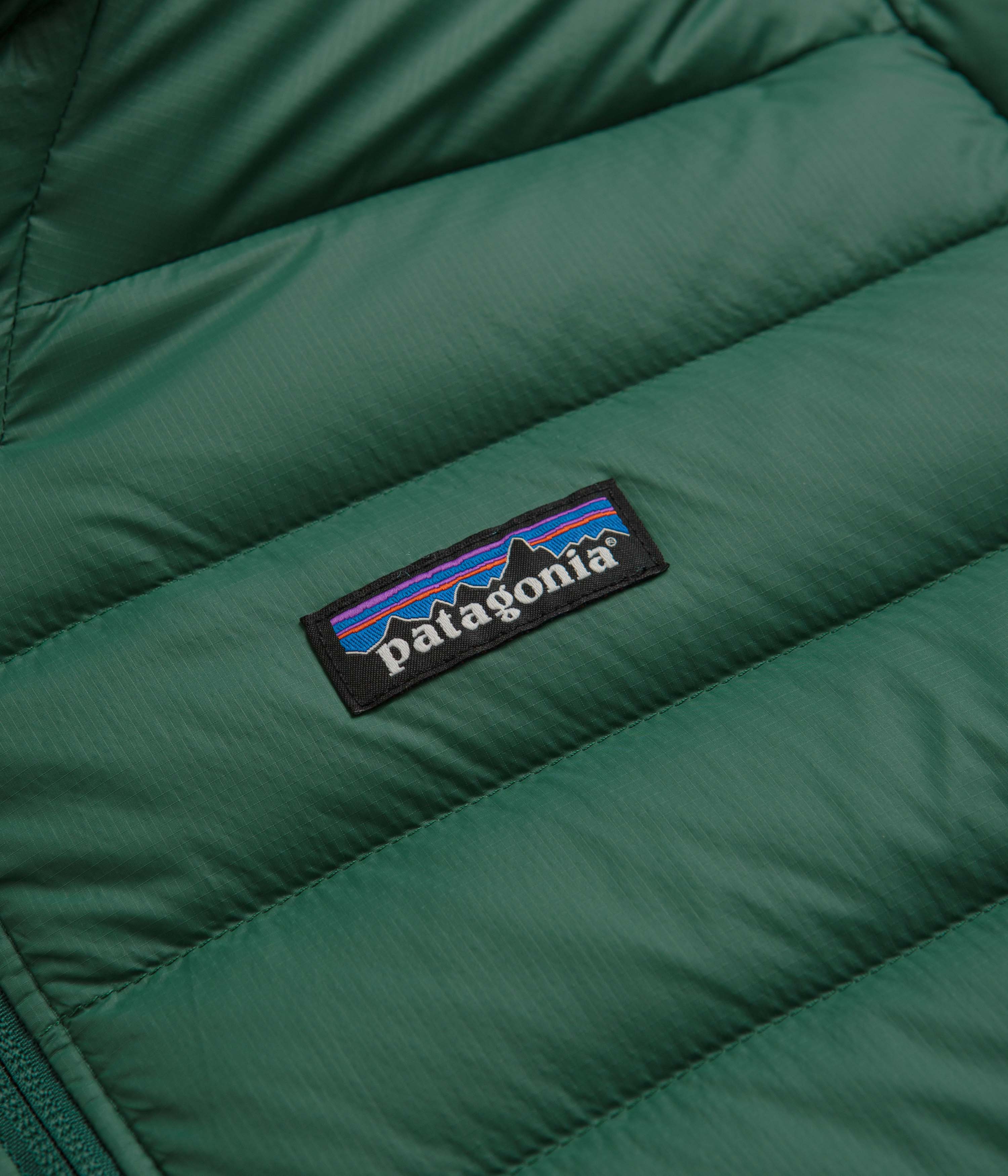 Patagonia Down Sweater Hooded Jacket (NetPlus) - Conifer Green