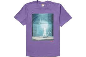 Supreme Fuck Tee Purple